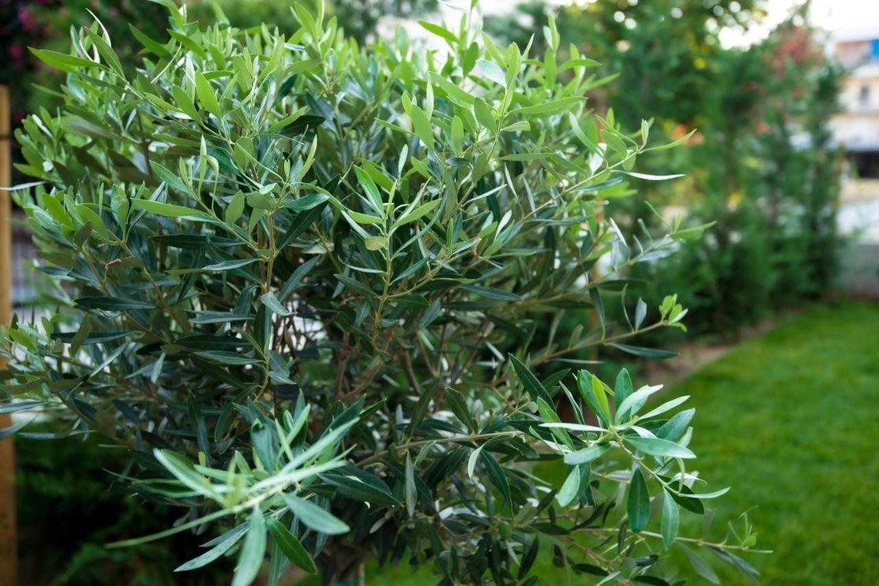 Olive 201 Apartment Peraia  Ngoại thất bức ảnh