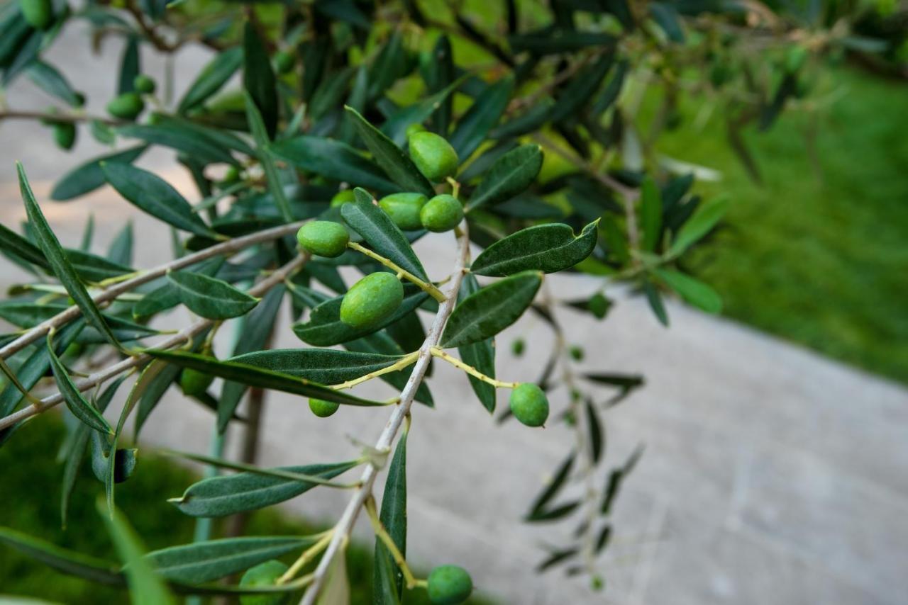 Olive 201 Apartment Peraia  Ngoại thất bức ảnh